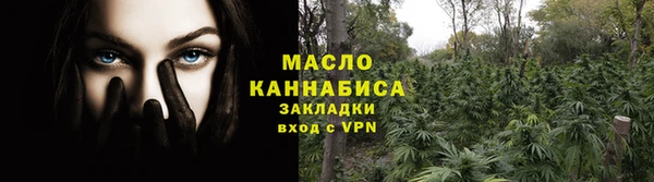 spice Ельня
