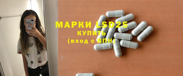 spice Ельня