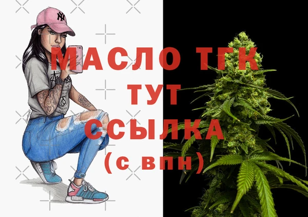 spice Ельня