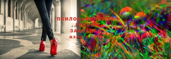 spice Ельня