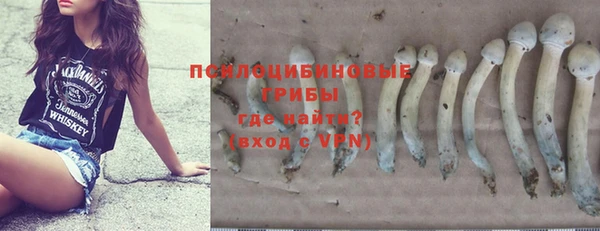 метадон Заводоуковск