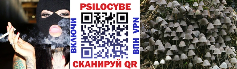 Псилоцибиновые грибы MAGIC MUSHROOMS  сайты даркнета официальный сайт  Городец  купить наркотики сайты 
